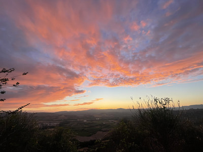 2024-06-23-branchi-r-ripesena-stone-02.jpg
