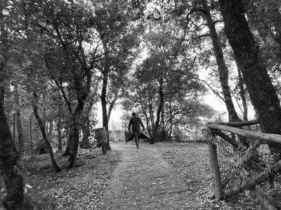 2024-06-23-branchi-r-ripesena-stone-24.jpg