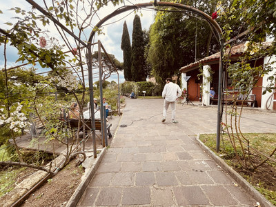 2025-05-22-branchi-roseto-roma-stone-02.jpg